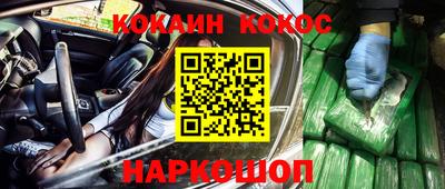 крисы Новокубанск
