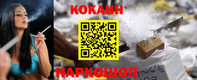 крисы Новокубанск