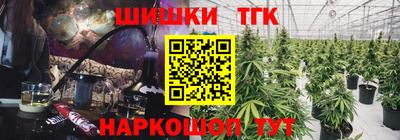 крисы Новокубанск