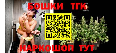 крисы Новокубанск