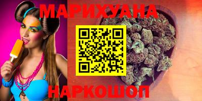 крисы Новокубанск