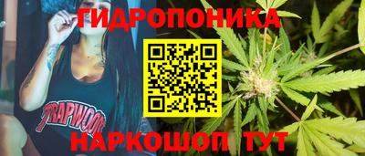 2c-b Новозыбков