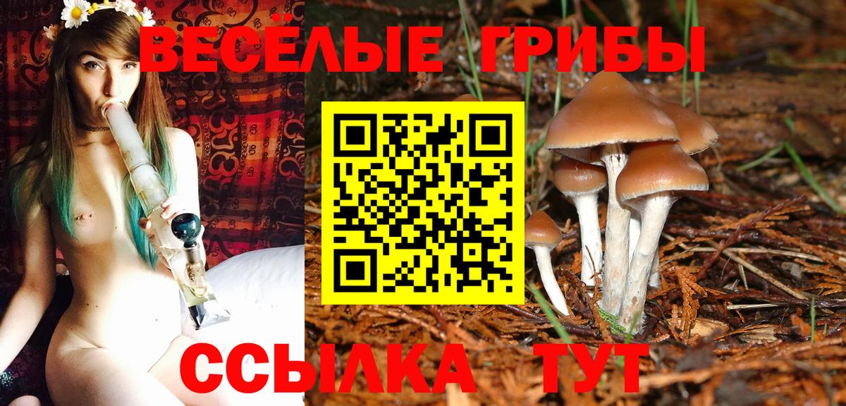 Псилоцибиновые грибы Psilocybine cubensis  Вход с VPN  Сальск 